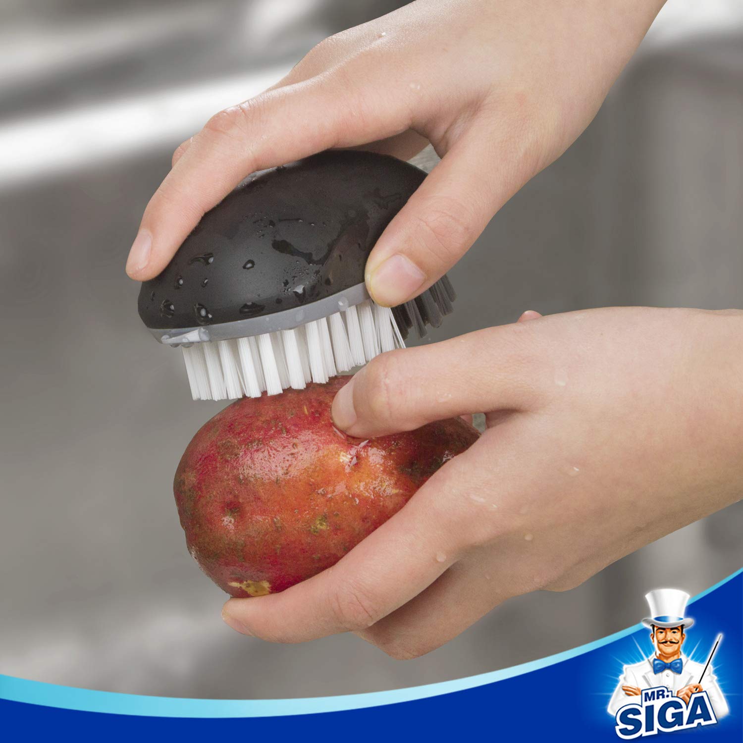 MR.SIGA pack de dos cepillos para uso diario en la cocina
