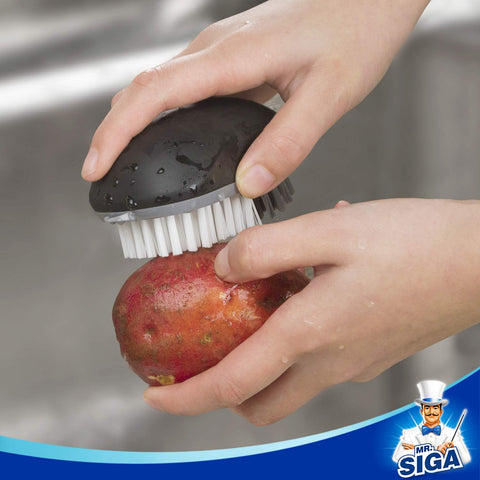 MR.SIGA pack de dos cepillos para uso diario en la cocina