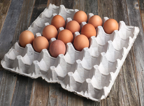 MT Products: almacenamiento seguro de huevos, ideal para granjas
