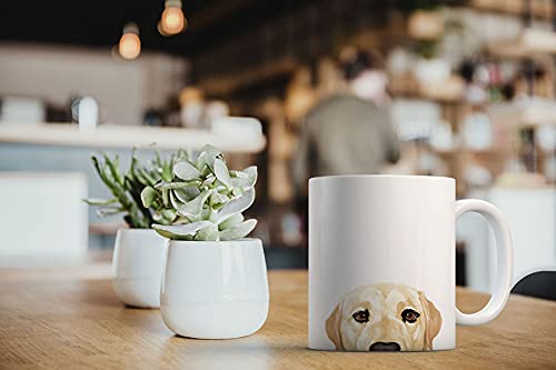 Regalo ideal para amantes de perros MugBrew labrador crema.