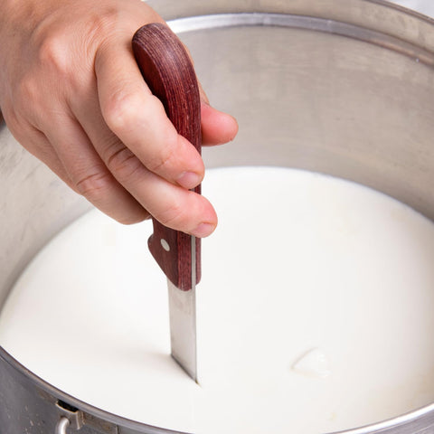 Natural Probio favorece coagulación rápida con leche entera para quesos.