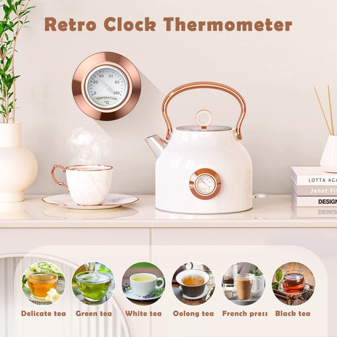 NESSGRAIM tetera eléctrica, diseño retro que realza la cocina