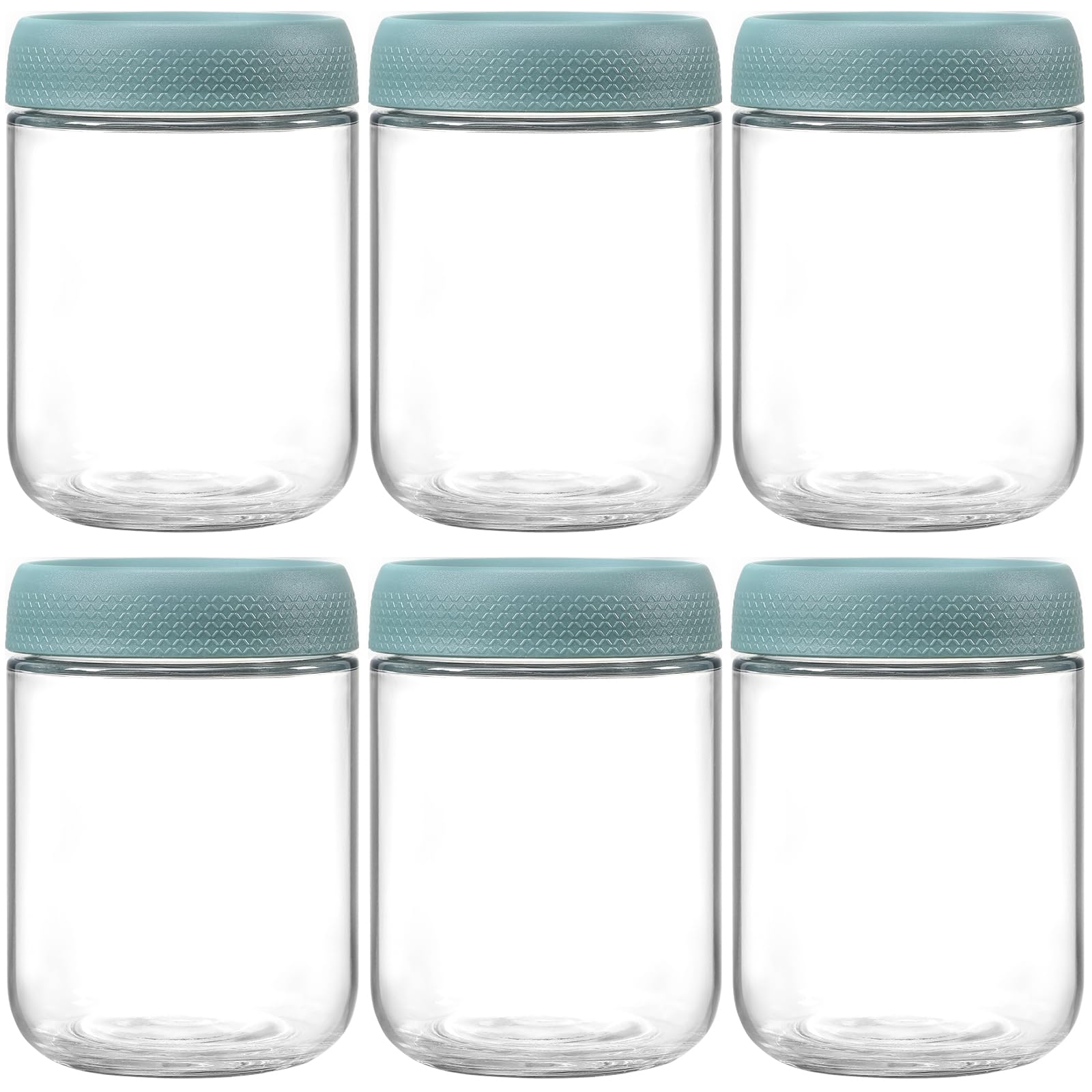 NETANY frascos de vidrio 16 oz con tapas herméticas para almacenamiento seguro