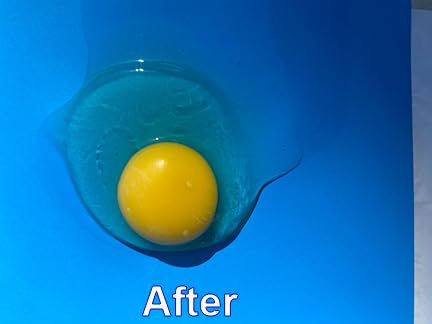 newyolk limpieza-facil-duradera limpieza rápida y duradera para uso diario.