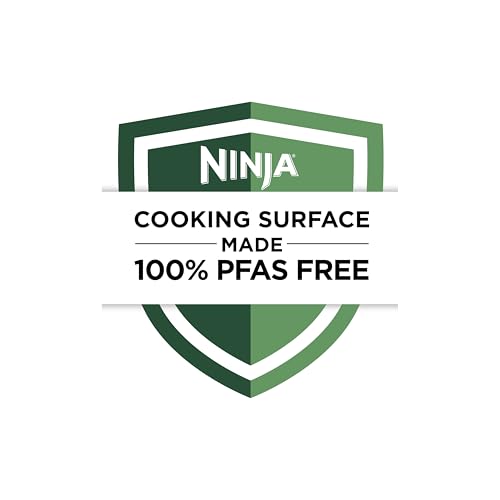 Ninja Air Fryer Pro uso diario para snacks y comidas rápidas.