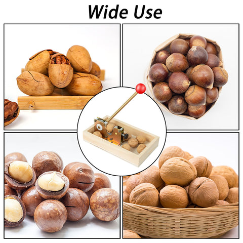 Nizodo regalo ideal para amantes de frutos secos.