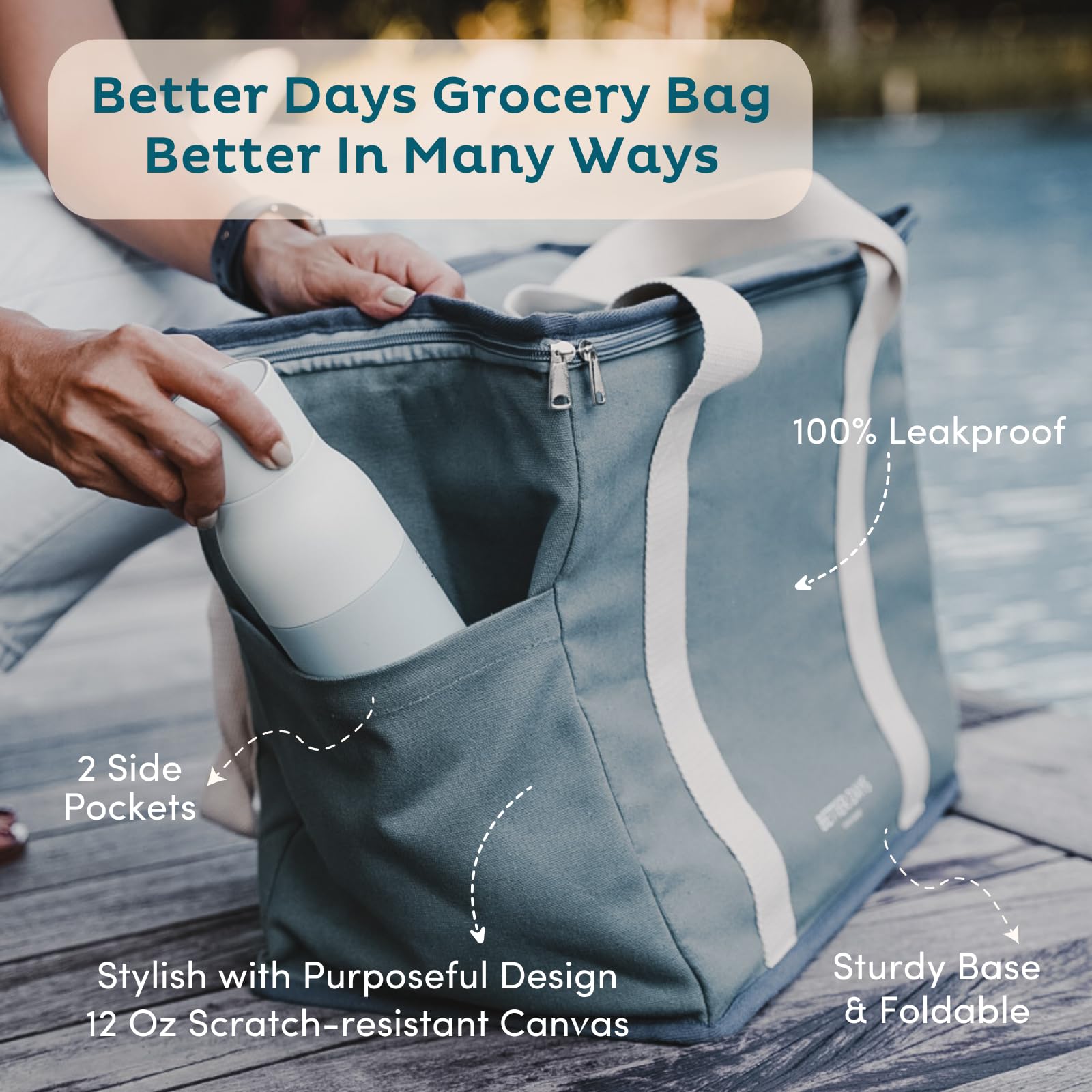 Nook Theory bolsa picnic aislada, perfecta para comidas al aire libre