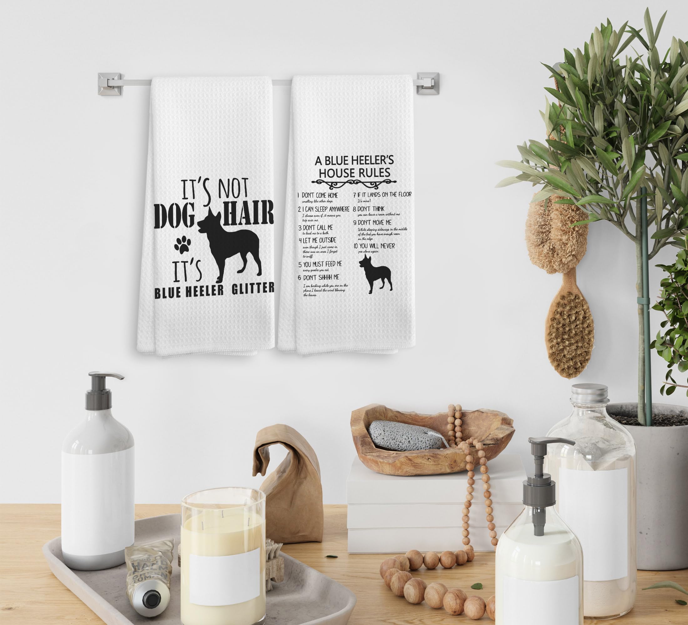 NOQL paños absorbentes para uso diario en cocina y baño.