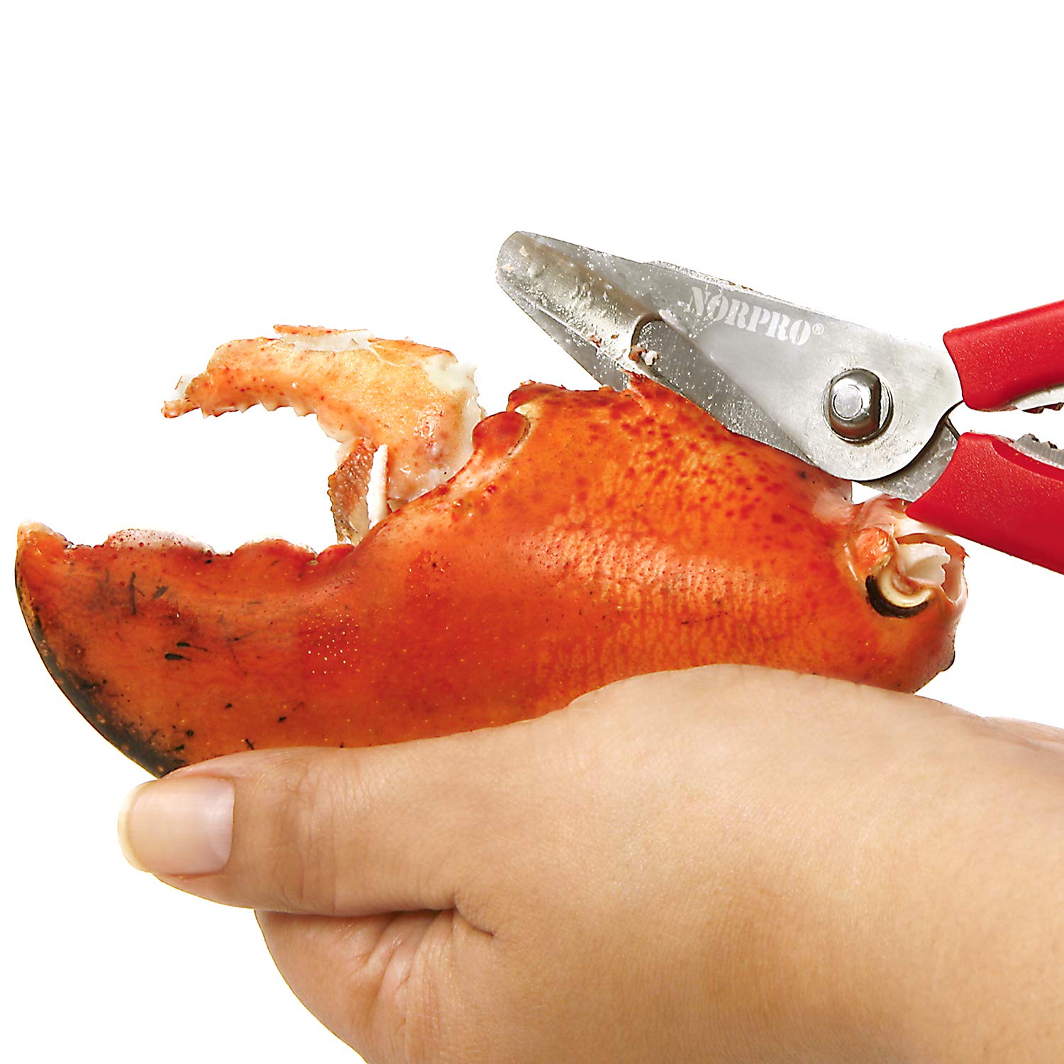 Norpro 6516 cuchilla desmontable, limpieza rápida y sencilla