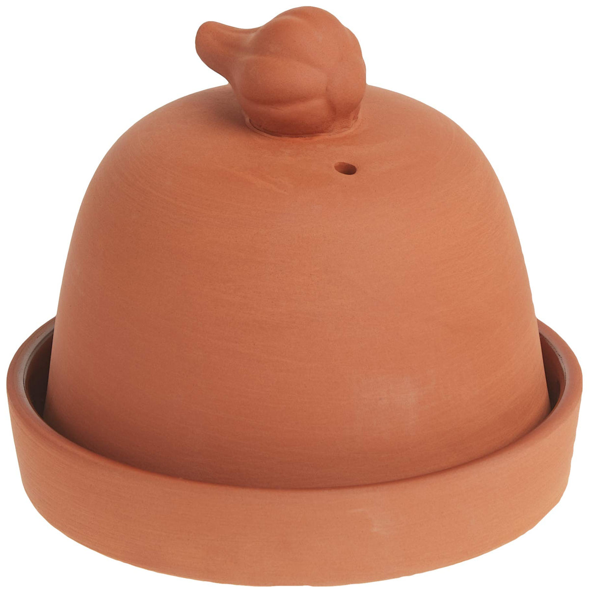 Norpro horno de ajo en terracota primer plano para asar ajo y realzar sabores