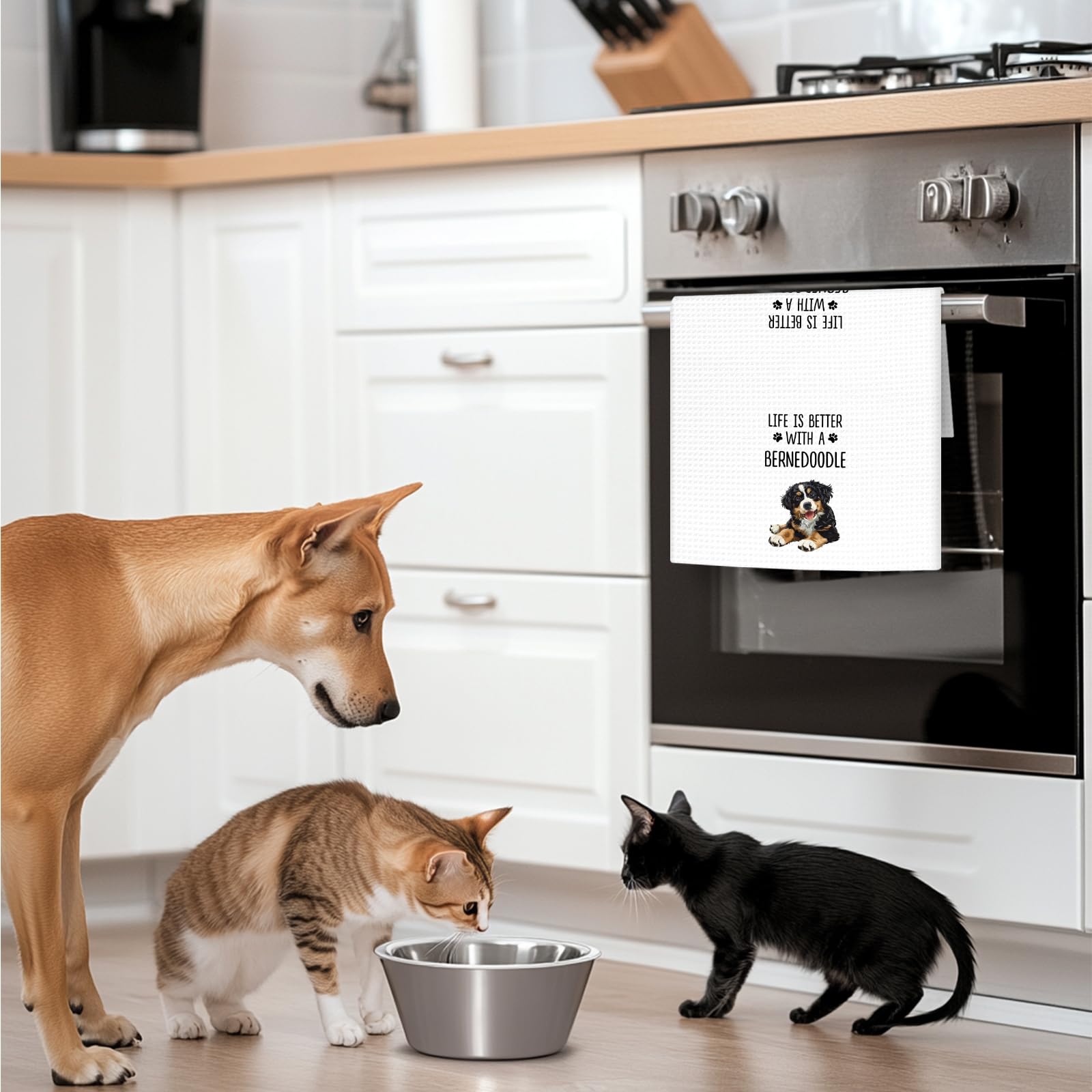 Toalla cocina OINDADE Bernedoodle, tacto suave y duradero para uso diario
