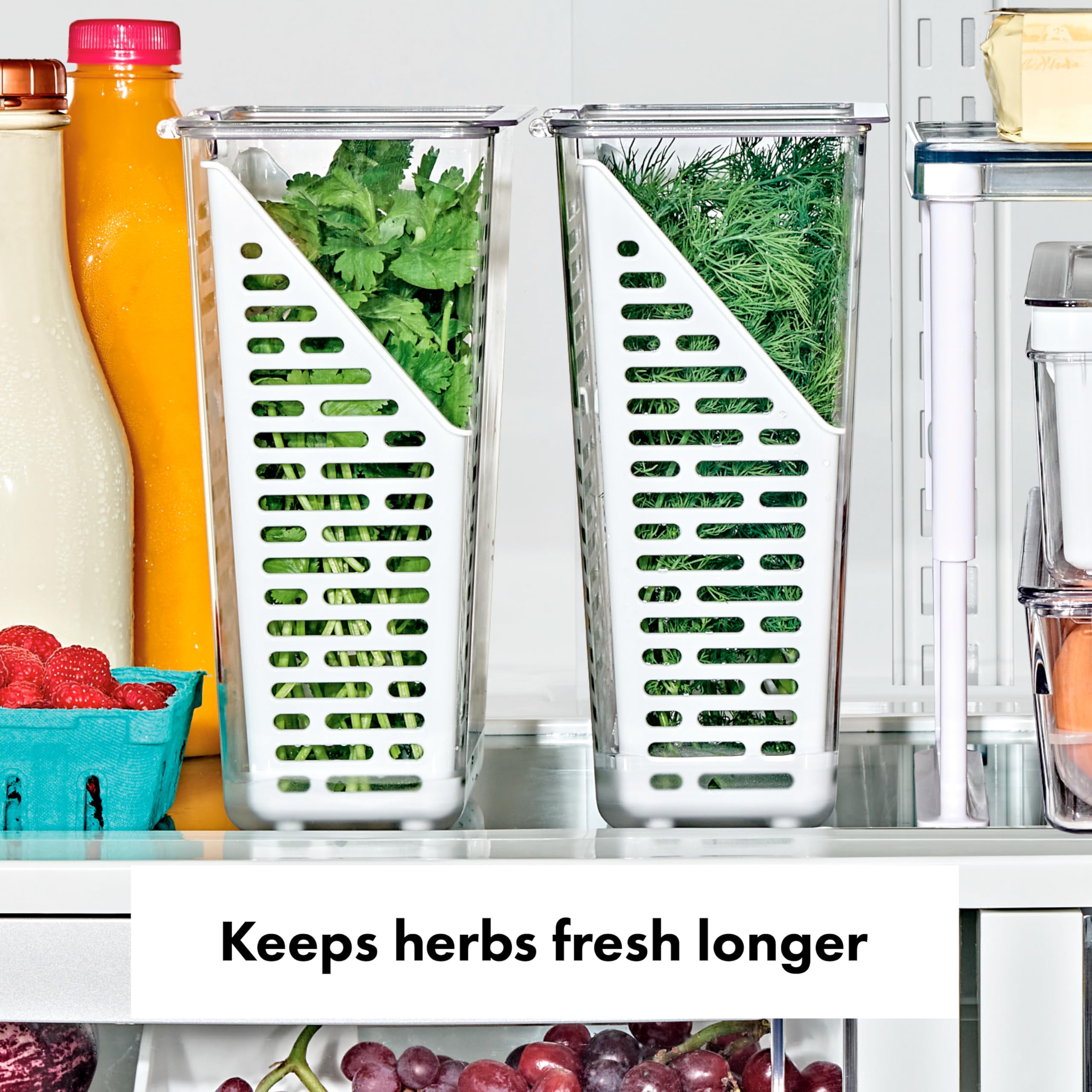 OXO Conservador de Hierbas con tapa plegable para acceso rápido