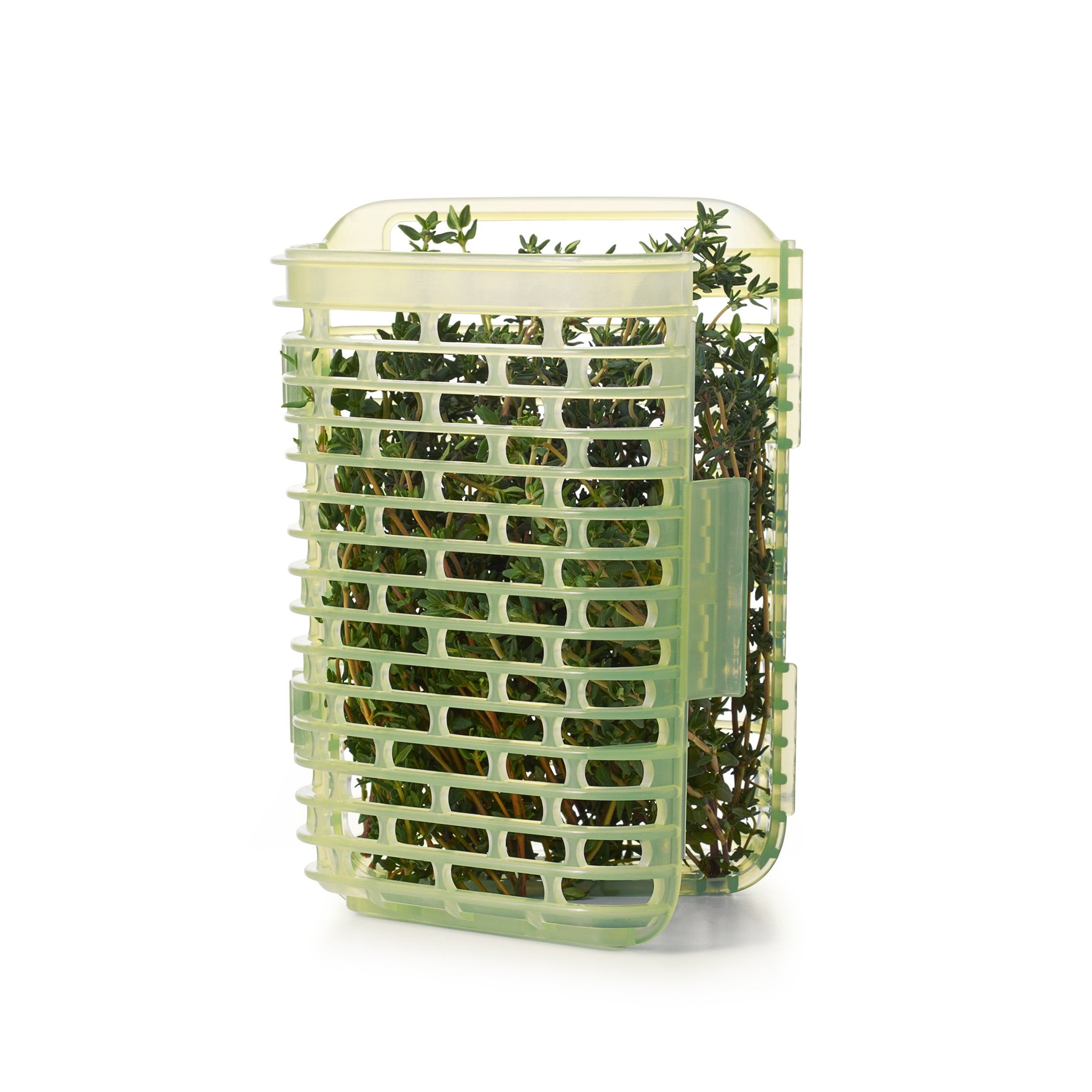 OXO Greensaver protege hojas delicadas durante el almacenamiento