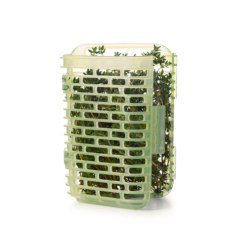 OXO Greensaver protege hojas delicadas durante el almacenamiento