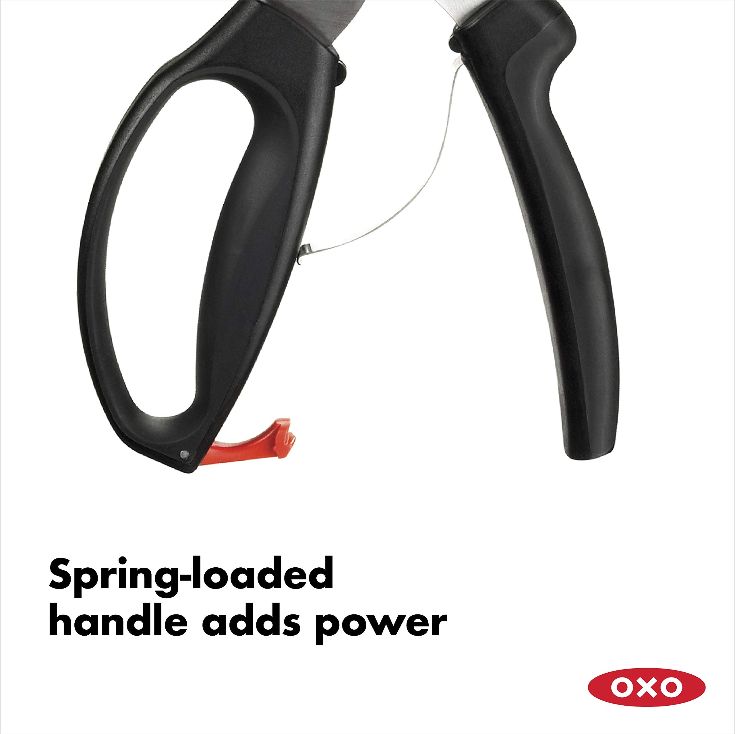 Tijeras OXO desmontables para limpieza fácil