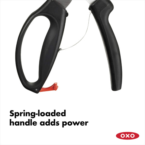 Tijeras OXO desmontables para limpieza fácil