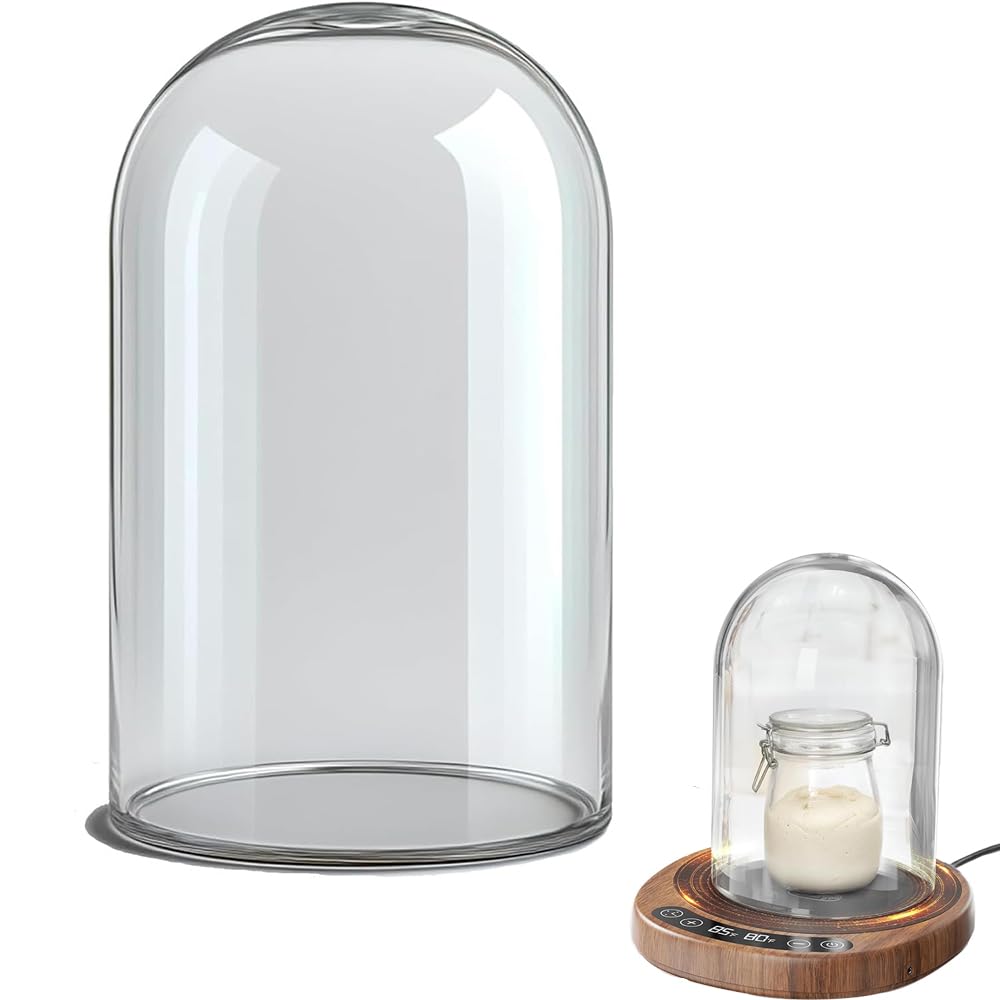 Pakusane domo de cristal grande para masa madre, visión clara de fermentación.