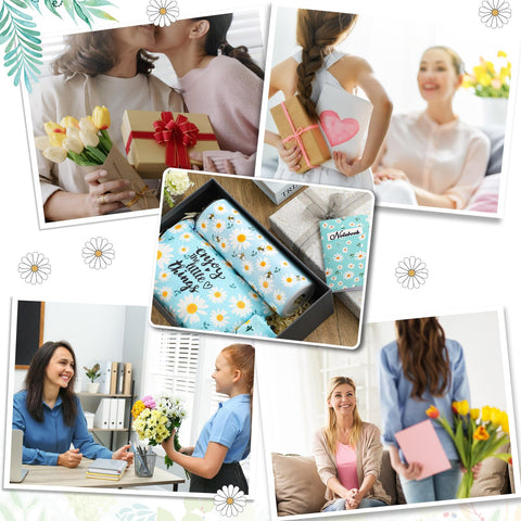 Panitay set regalo daisy completo, ideal para sorprender en cumpleaños