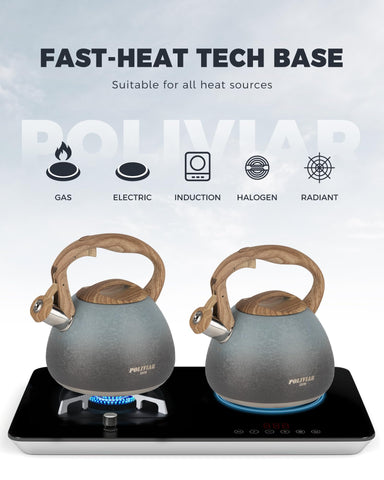 Tetera Poliviar compatible con gas, eléctrico e inducción para todas las cocinas