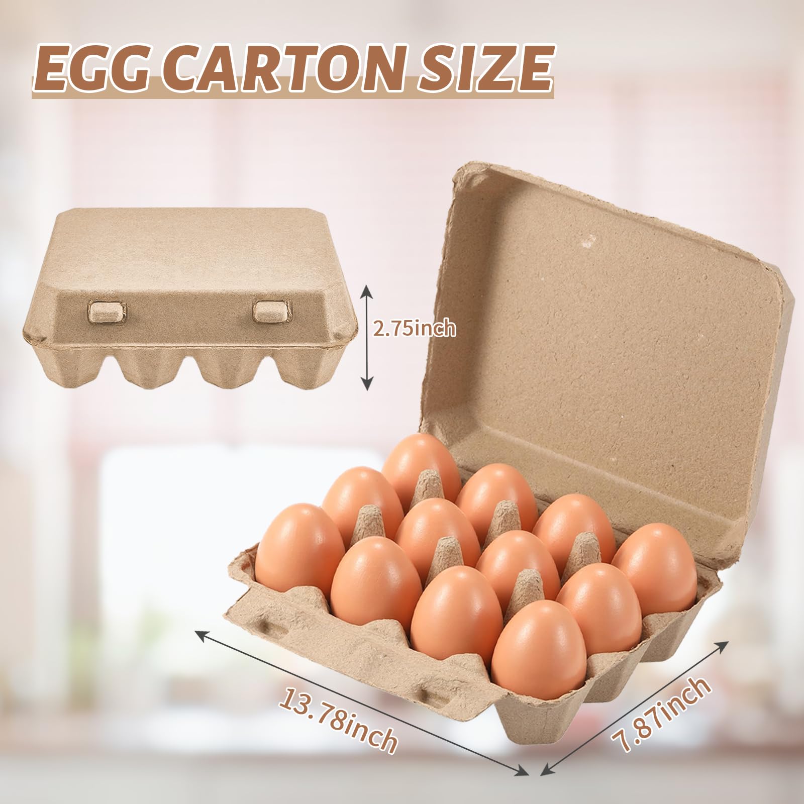 Poreids carton de huevos ecológico y reciclable