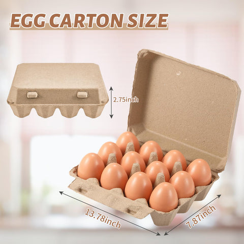 Poreids carton de huevos ecológico y reciclable