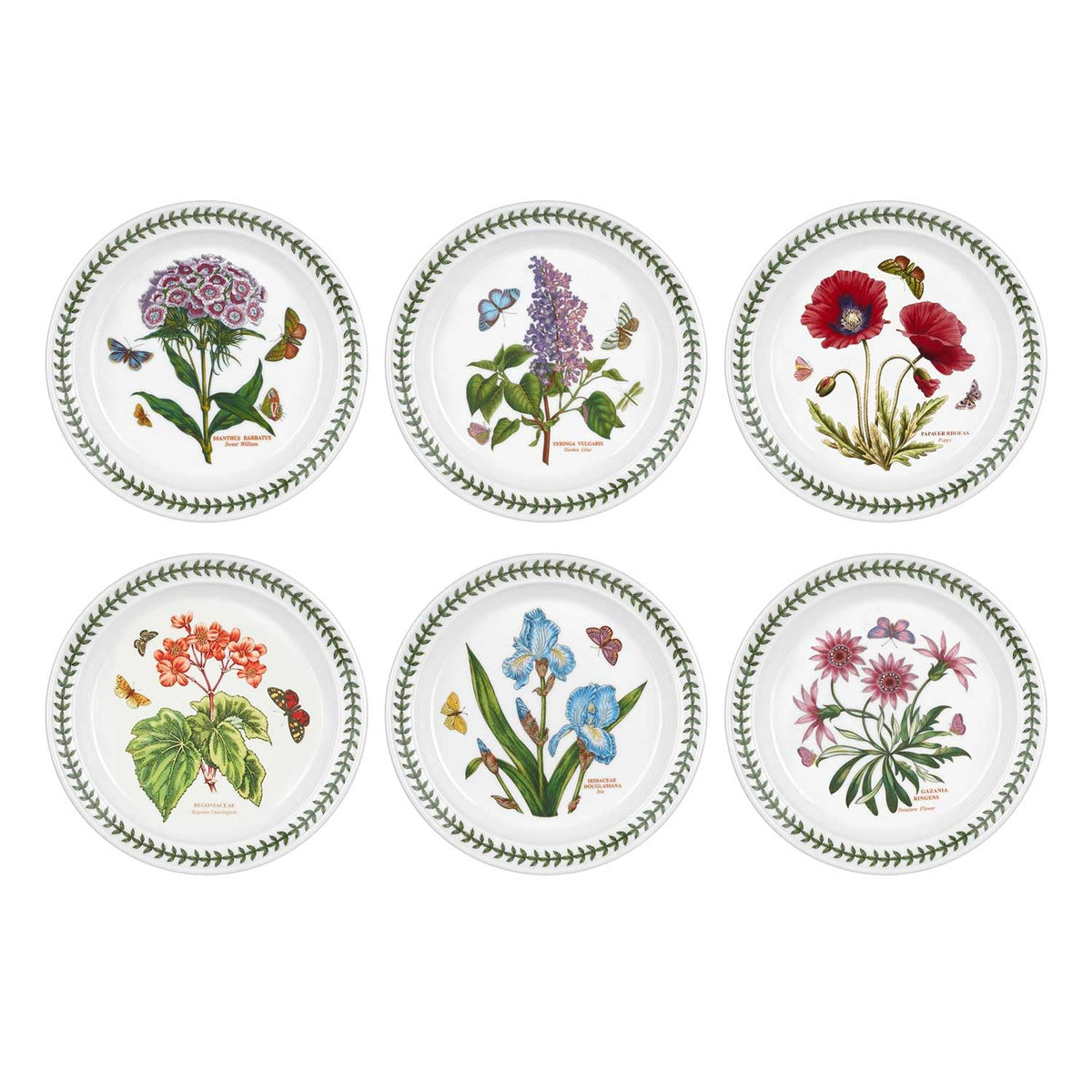 Portmeirion Botanic Garden: plato de ensalada de 8,5 pulgadas, apto para lavavajillas y uso diario.