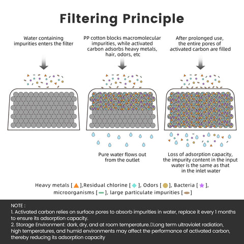 possiave proceso de enjuague recomendado para Breville BWF100, filtración óptima.