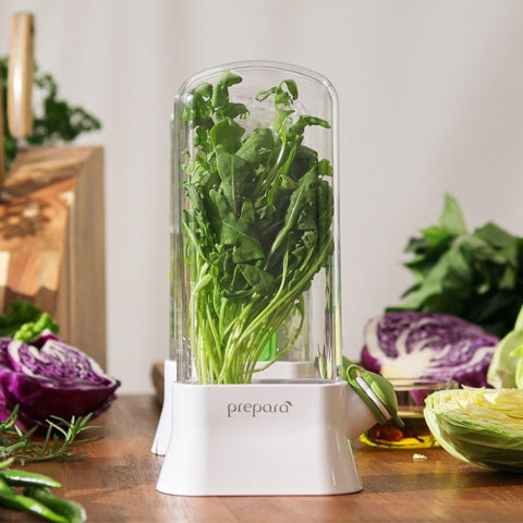 Invernadero de cristal de Prepara Herb Savor Eco conserva aroma y frescura.