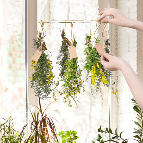 PROTITOUS caja regalo dorada, para regalo de amantes de plantas