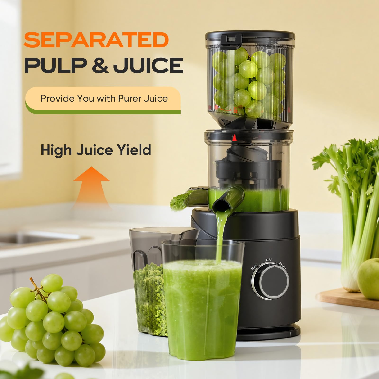 PSIIDAN extractora de jugos, capacidad 1.2 L para toda la familia
