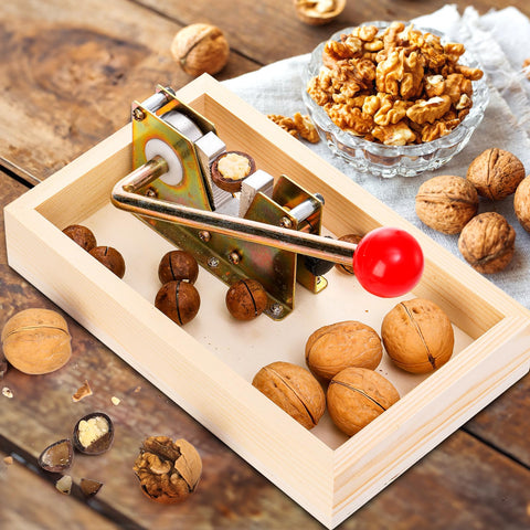 Pumtus pelador de nueces para la cocina diaria y uso doméstico.