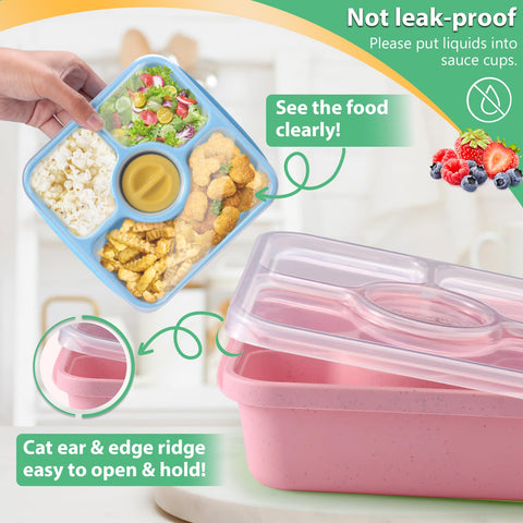 QQKO Bento apto para microondas, congelador y lavavajillas para mayor comodidad