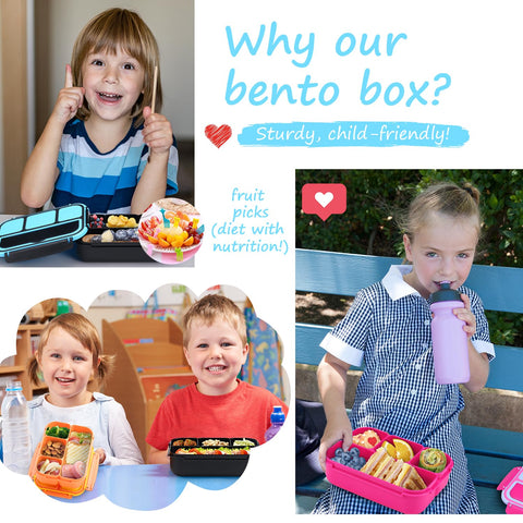 Ideal para desayunos y meriendas, la QQKO Bento acompaña salidas diarias
