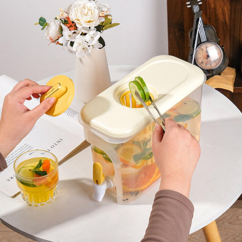 RAMFIYN dispensador con hielo y frutas para bebidas refrescantes en casa