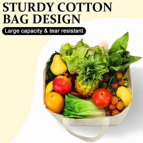 Reginary bolsas reutilizables, lavables y duraderas para uso repetido diario.