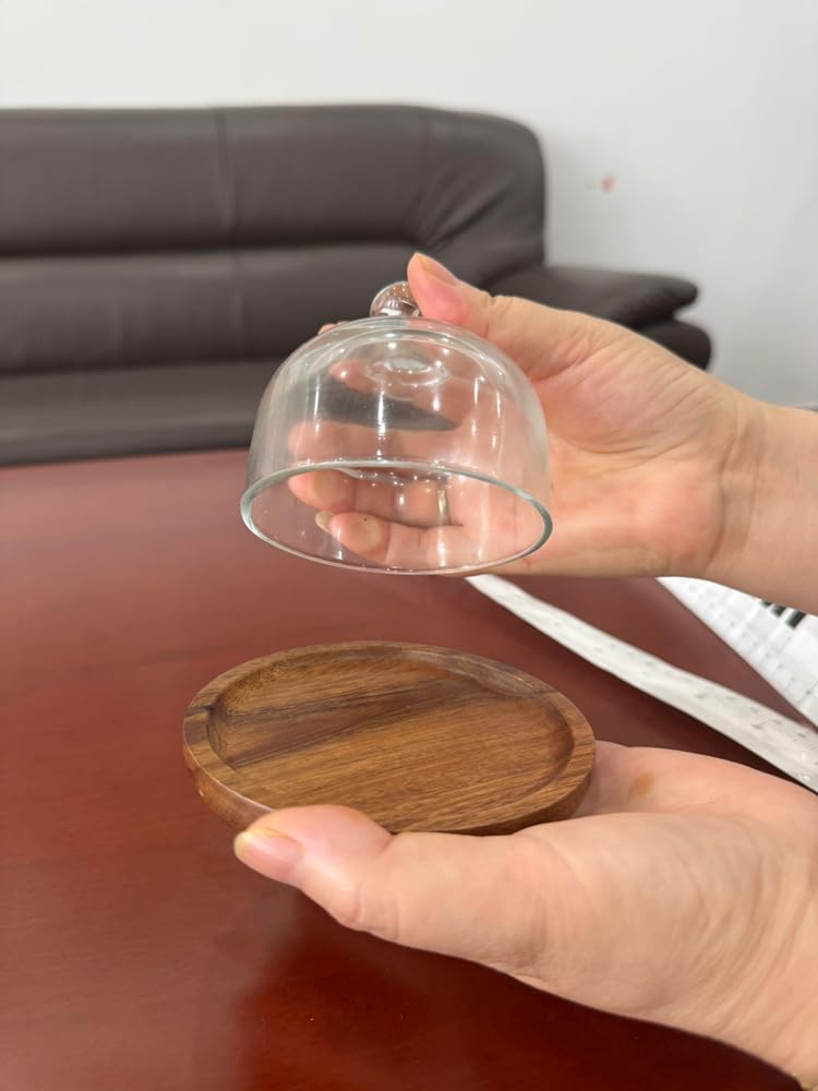 Rikyo: base para pasteles de madera con domo, estable y seguro.