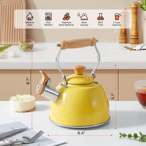 Tetera ROCKURWOK libre de teflón y BPA para una experiencia limpia