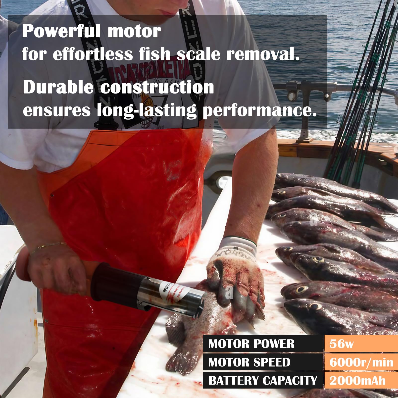 ROEDEER, cabeza de seis lados para escalado versátil de diferentes peces.