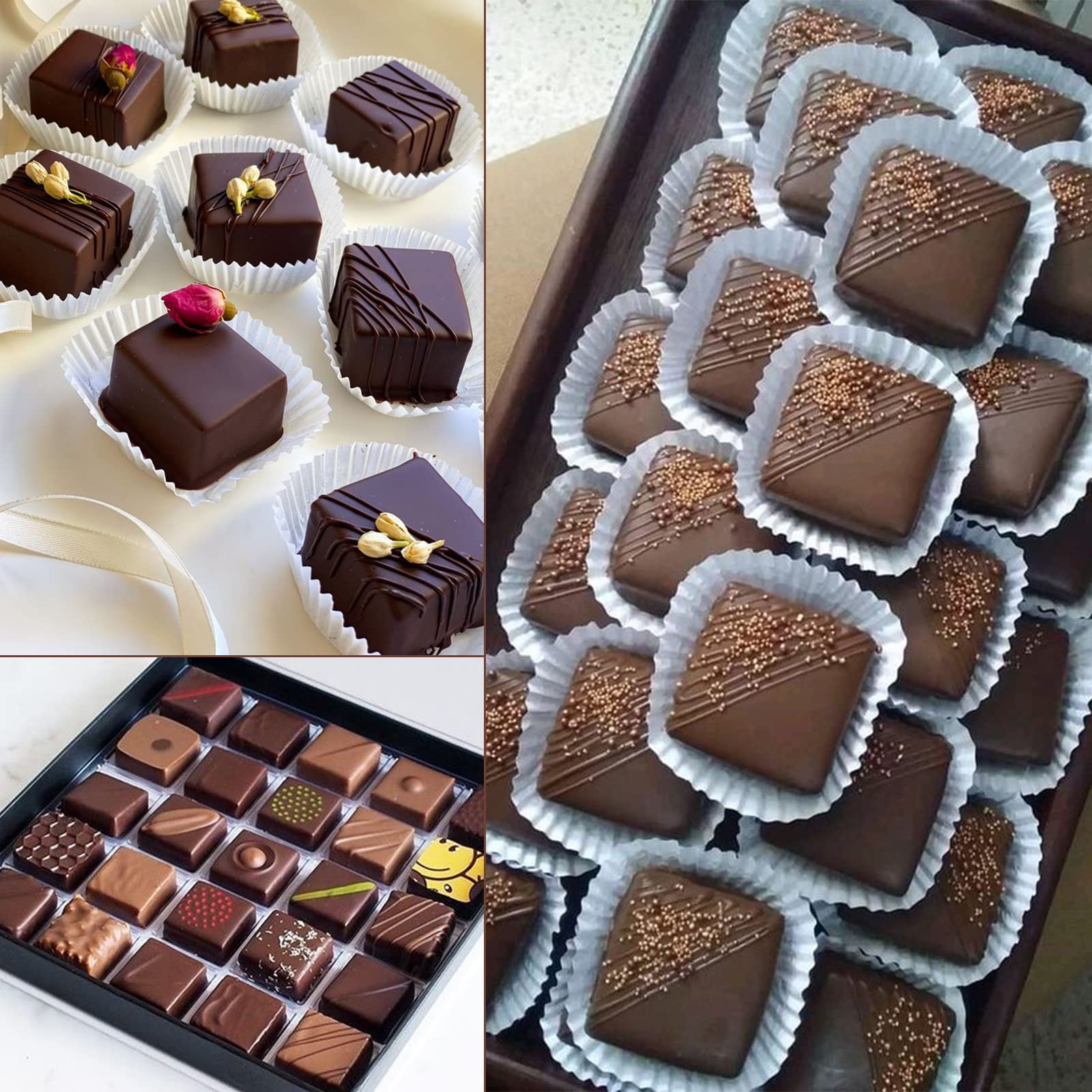 Sakolla molde para trufas, ganache y jelly, resultados consistentes.
