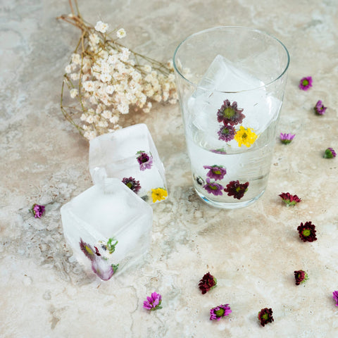 Samuelworld regalo hogar y fiestas con hielo elegante.