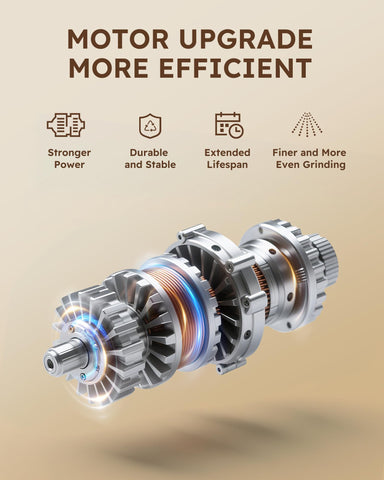 Sangcon molinillo de pimienta con capacidad de 100 g para servicio continuo.
