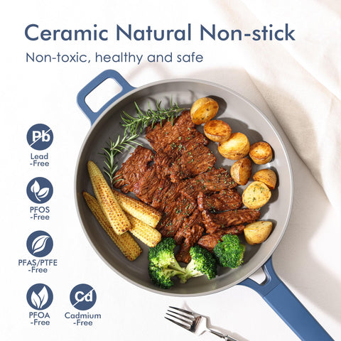 SENSARTE sartén de 11 pulgadas con tapa para dorar y sellar sabores