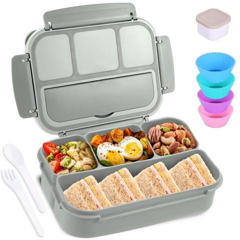 Shell and Turtle Bento Box gris, vista general para almuerzos ordenados y prácticos