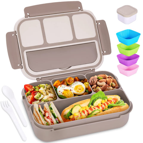 shell and turtle bento caja-almuerzo con 4 compartimentos para porciones separadas