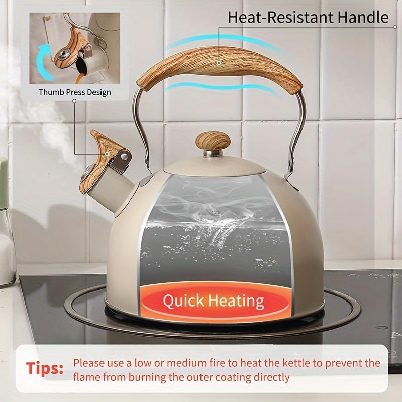 Shoxil hervidor 2.5 cuartos para hervir agua para varias tazas.