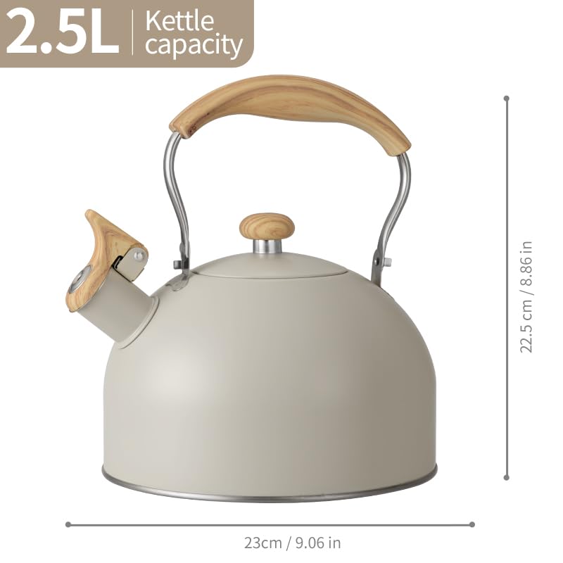 Shoxil hervidor compatible con gas, eléctrico e inducción para todas las cocinas.