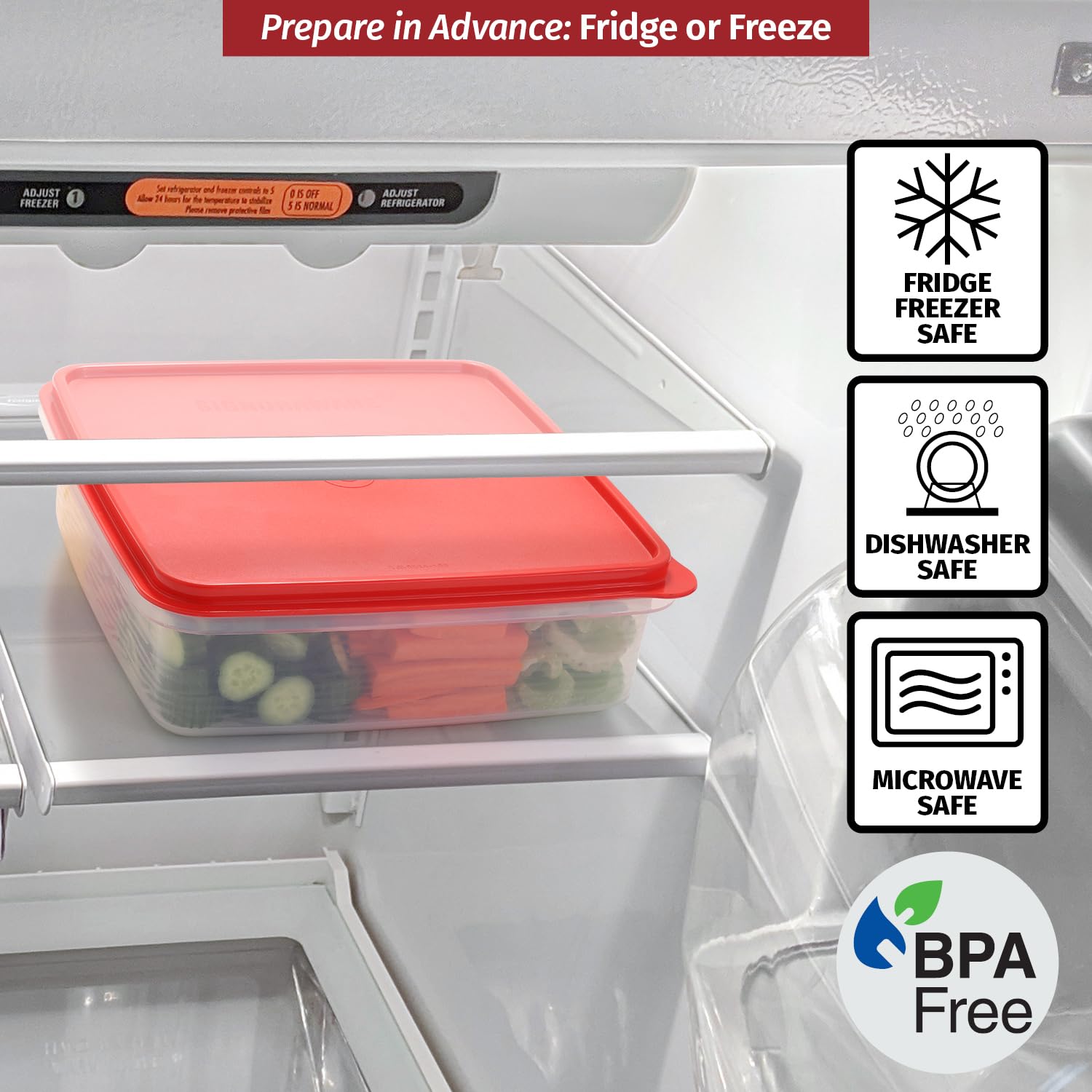 SIGNORA WARE ideales para comidas, postres y sobras.