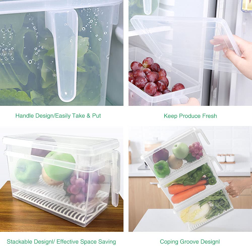 Contenedores SILIVO sin BPA para verduras con almacenamiento seguro