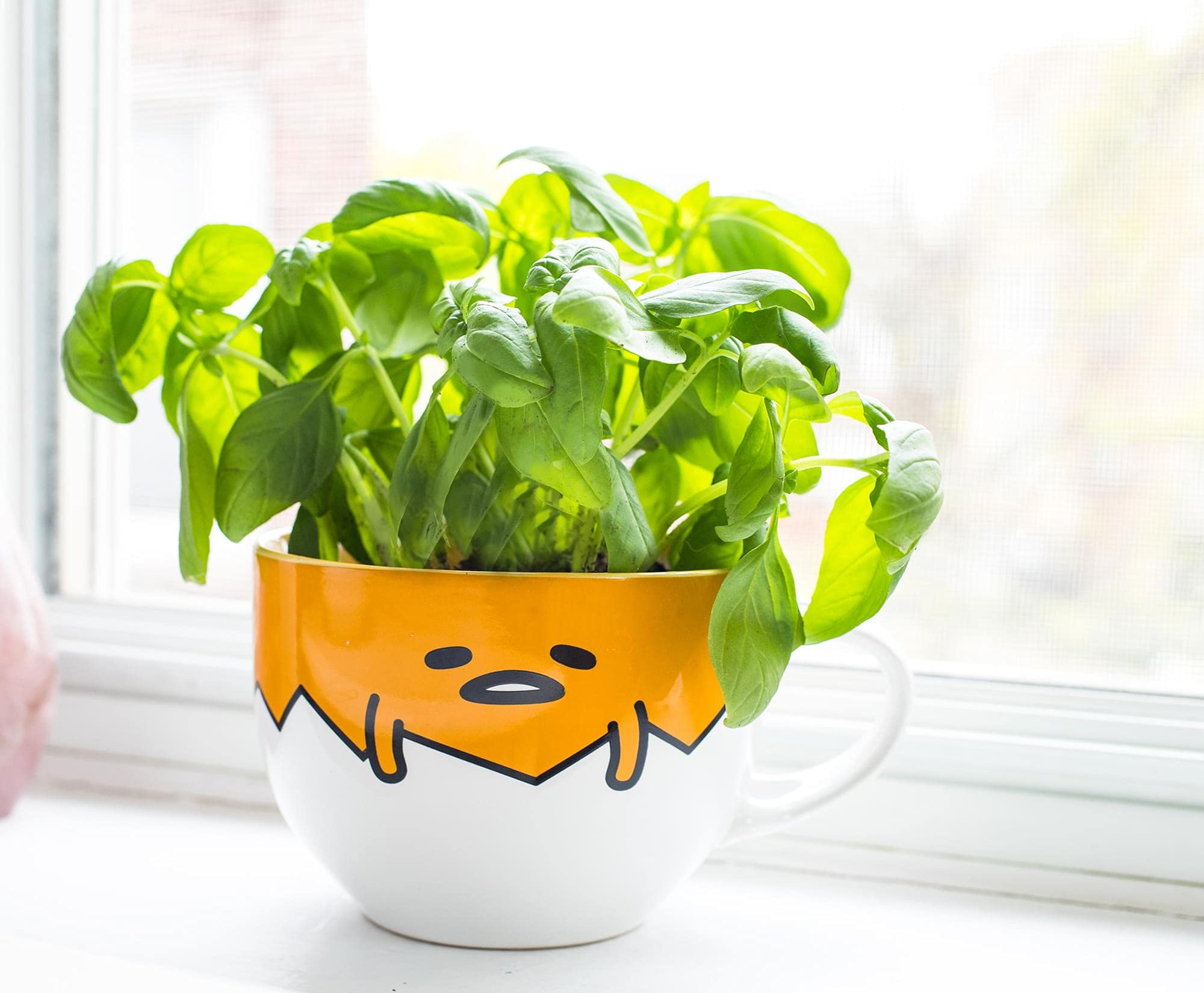 Empaque temático Gudetama regalo Silver Buffalo