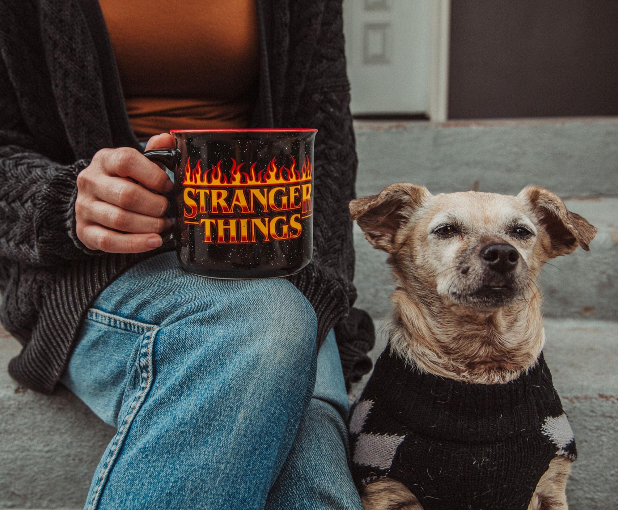 Regalo ideal para fans de Stranger Things, Silver Buffalo.